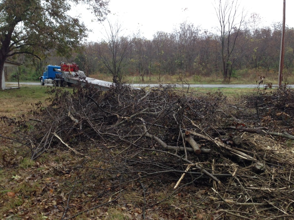 brush-mulching-pile